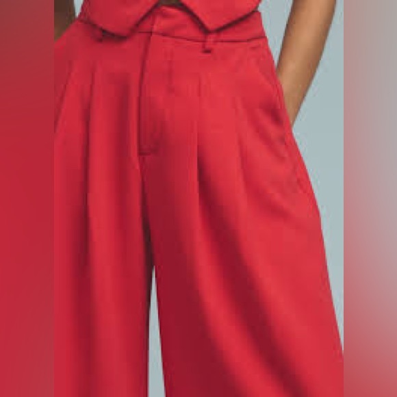 Anthropologie Maeve Pleated Wide-Leg Trousers - Picture 4 of 6